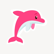 dolphin
