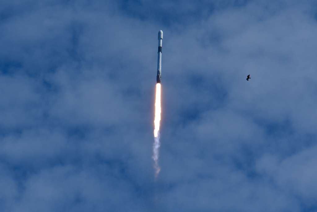 a rocket taking off with a bird flying in the sky