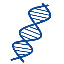 a blue dna strand